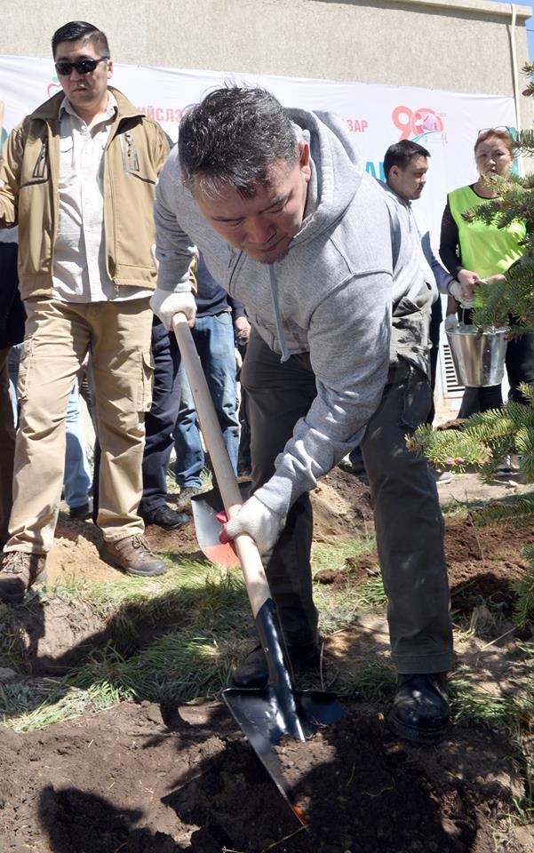 Өнөөдөр мод тарих Үндэсний өдөр