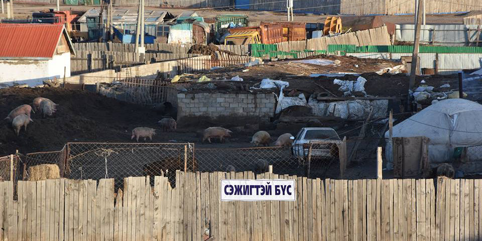 СХД: Шүлхий өвчний хорио цээрийн дэглэмийг цуцаллаа