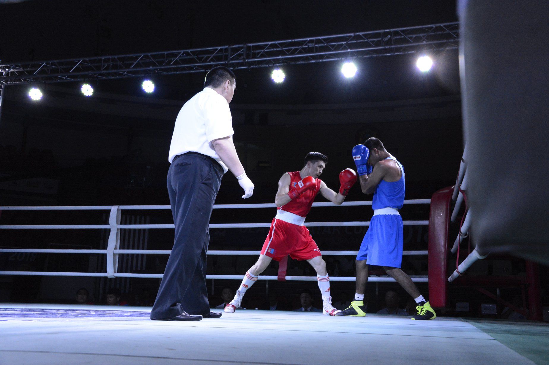 Улаанбаатарт 13 орны боксчид цуглаад байна