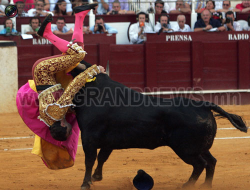 Коррида буюу бухын тулаан 