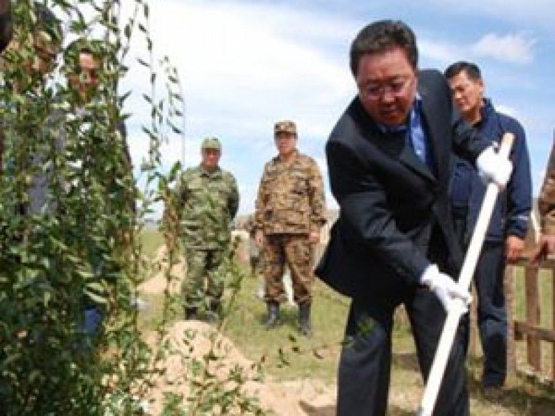 Ерөнхийлөгч 20 гаруй мянган мод тарьсан гэнэ шүү...