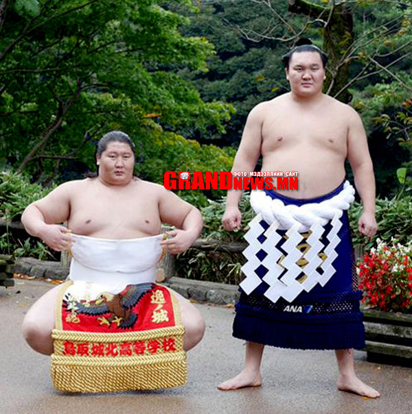 Хакухо барилдахгүй