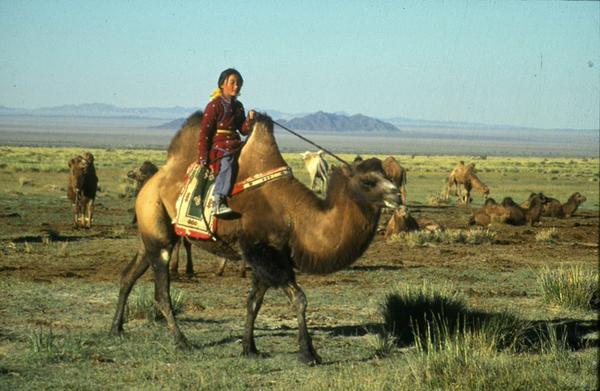  М.Зоригт дандаа эротик байдаггүй