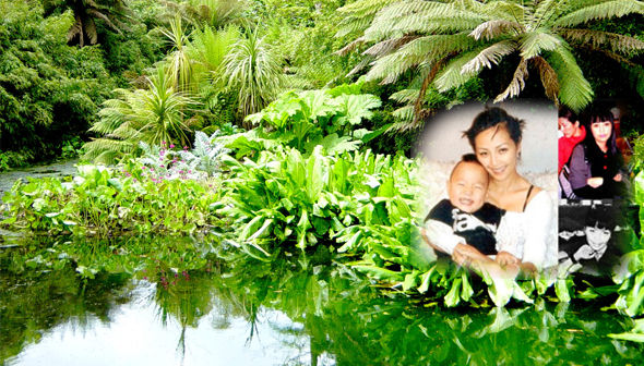 Ширэнгэн ойн аялал буюу Алтантуяагаа өмөөрсөн Монгол