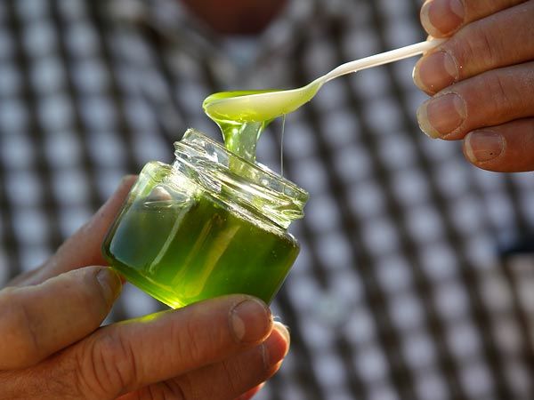 Өнгө, өнгийн зөгийн бал