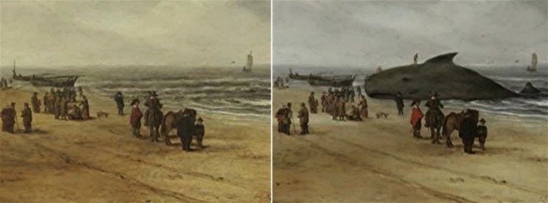 150 жил нуугдсан халимыг “илрүүлжээ”