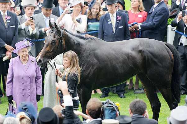 Их Британийн Хатан хааны хайртай мориноос допинг илэрчээ