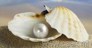 Нөхөрт гараагүй бол сувд зүү!