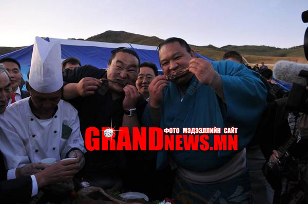 Эбэ Ерөнхийлөгчийн эгзэгтэй агшин