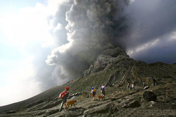 31 хүний цогцос олджээ