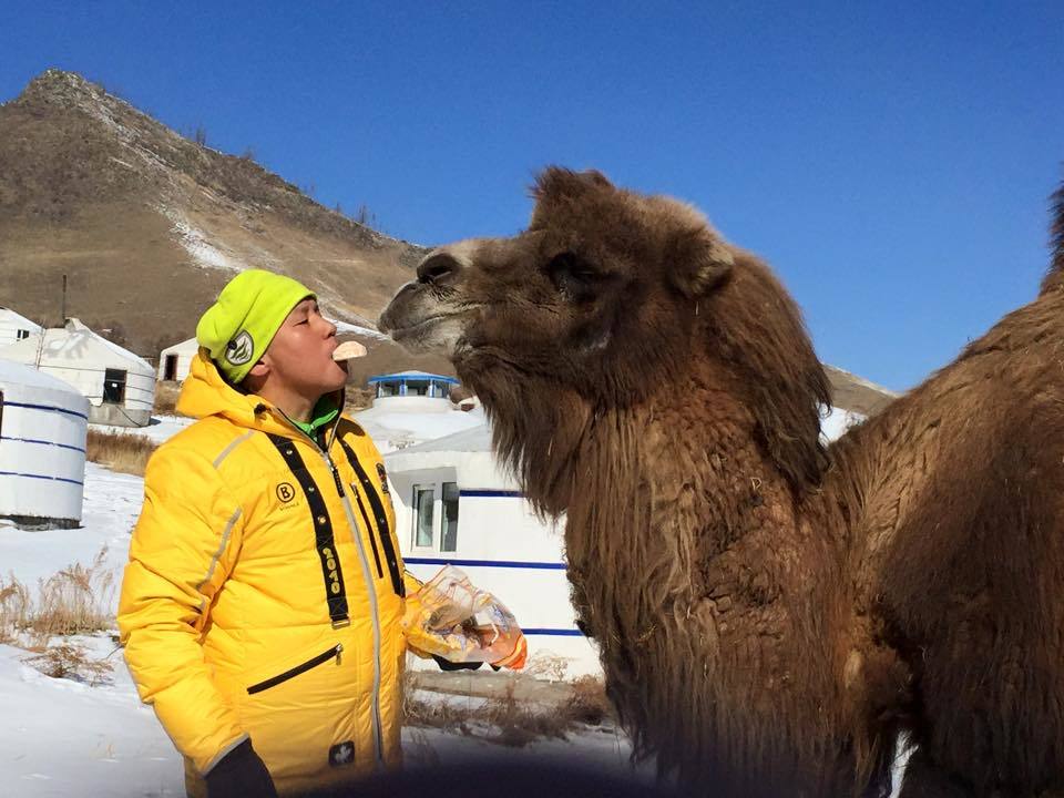 Амьтныг амаараа хооллосон захирал 