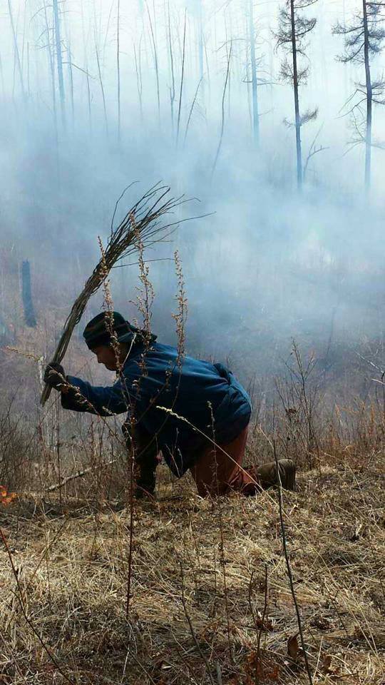 С.Жавхлангийн уриалгаар түймэр унтраах хүсэлтэй залуус олон байна