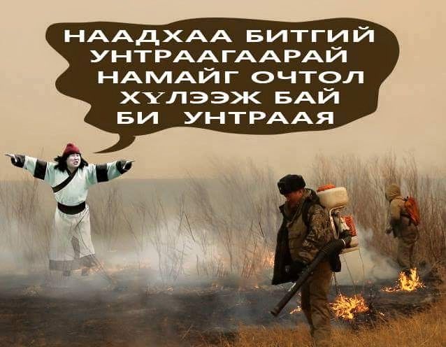 Өнөөдрийн онцлох зураг 