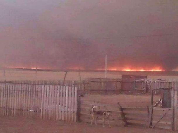 60 орчим айл түймэрт өртөж, 22 айл орон гэргүй болжээ