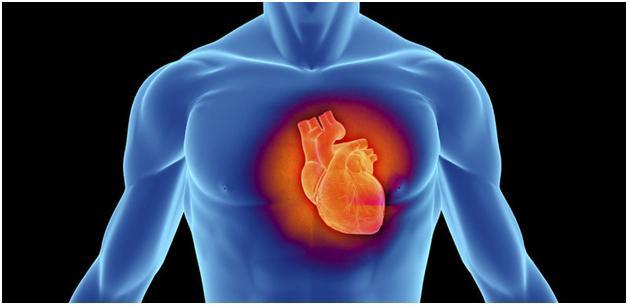 Зүрх, судасны өвчнөөс урьдчилан сэргийлэх арга