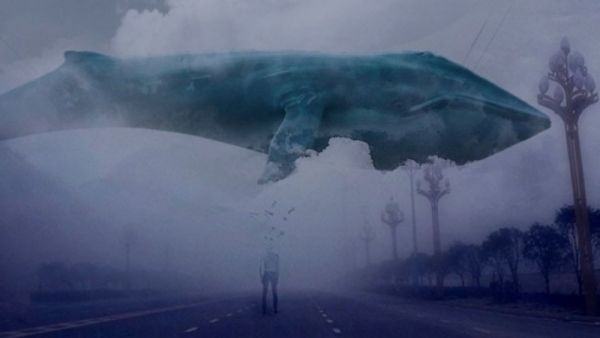 Сэрэмжлүүлэг: Алтан амиа тоглоомонд мэдүүлэгчид олширсоор байна