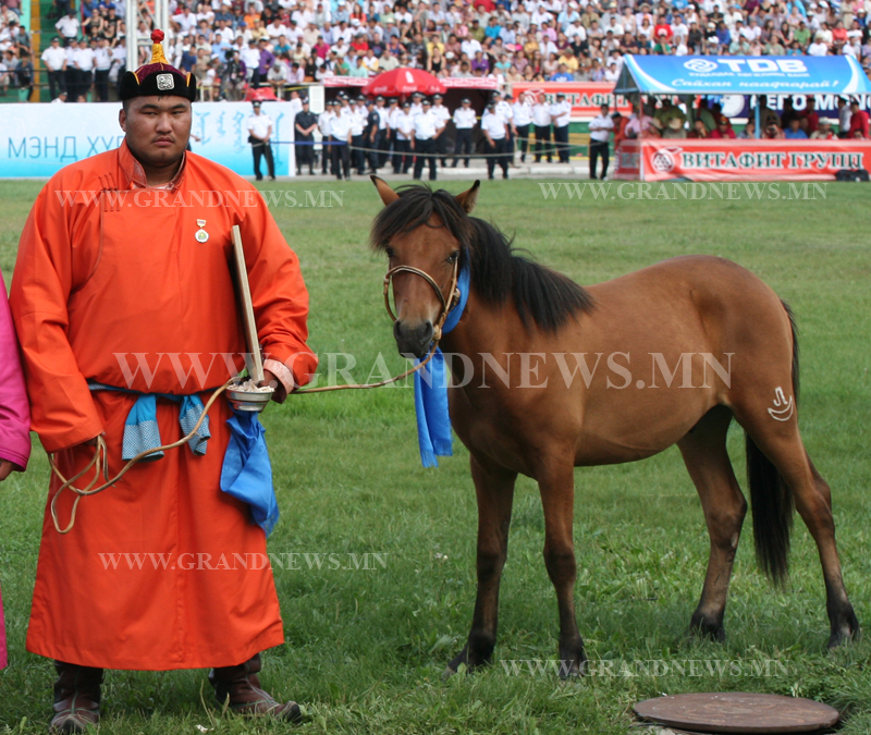 Яагаад таг болчихов 