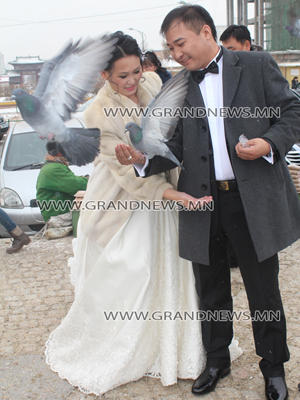 Урлагийн хосын хуримын гоёл 