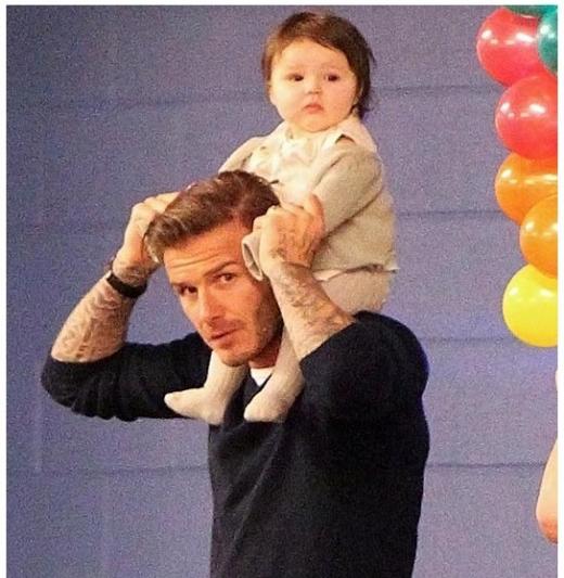 Модон морь...