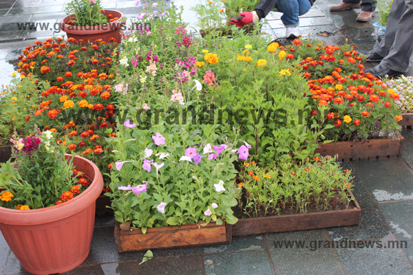 Цэцгийн мандал 