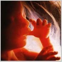  Дэлхийд ганцхан заяасан гайхалтай хүн