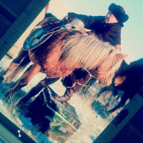 Мордоно доо 