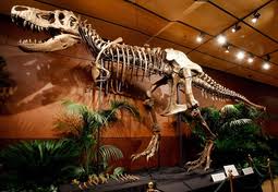 Батаар эх орондоо 