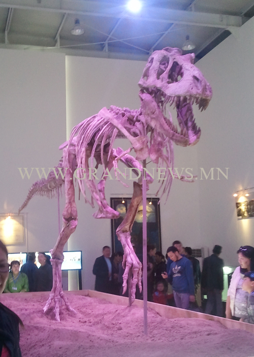 Тираннозавр Батаар гэртээ ирлээ