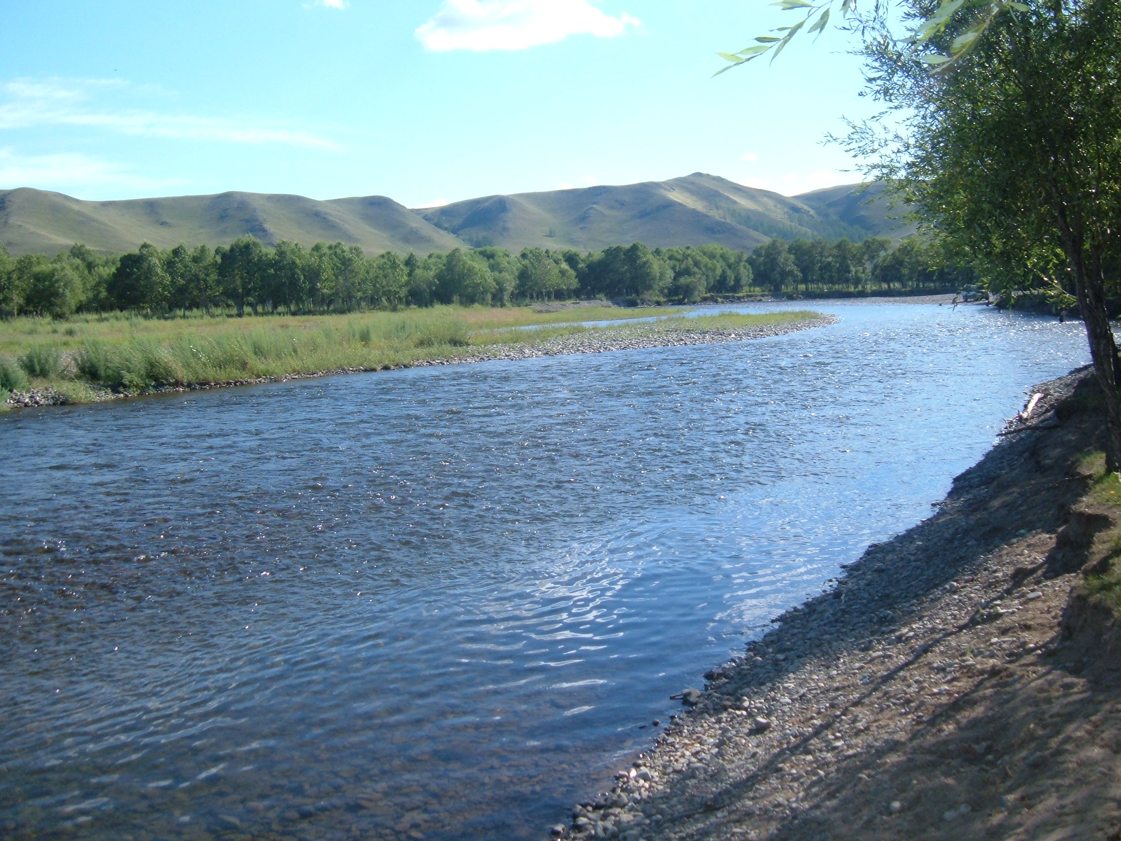 Дадлагаар явсан оюутан голд осолджээ