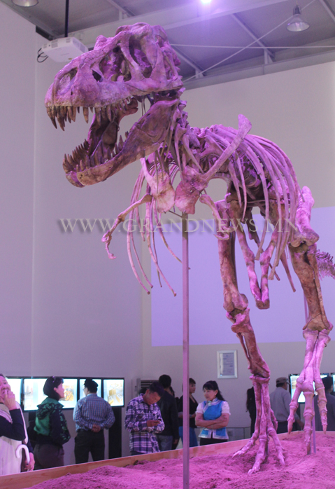 Батаарын музей өнөөдрөөс төлбөртэй боллоо