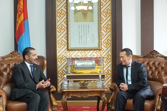 Интерполын Ерөнхий нарийн бичгийн дарга Х.Тэмүүжинтэй уулзлаа